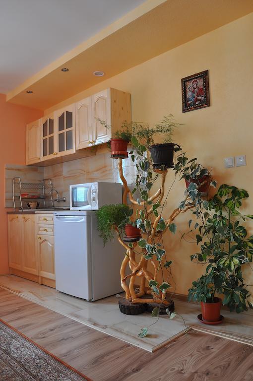 Guest House Eli Sapareva Banya Quarto foto